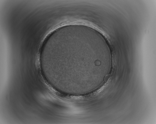 X0000114191498200910161153