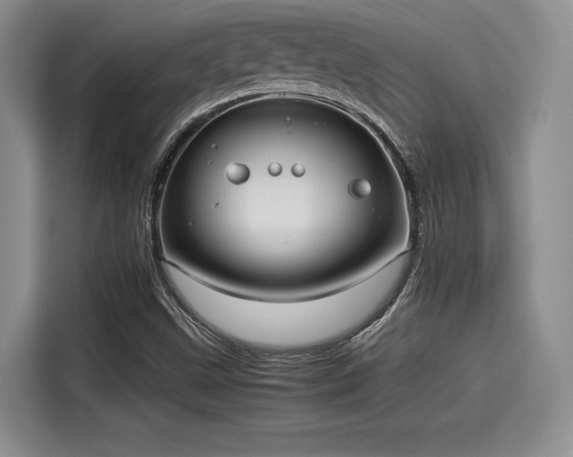 X0000114191499200910161153