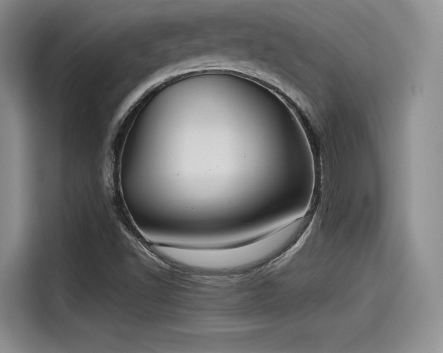 X0000114191502200910161153