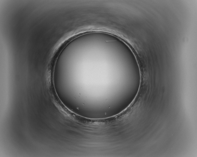 X0000114191503200910161153