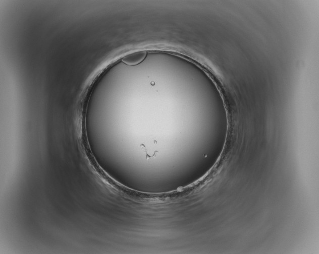X0000114191504200910161153