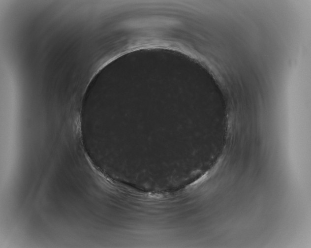 X0000114191505200910161153