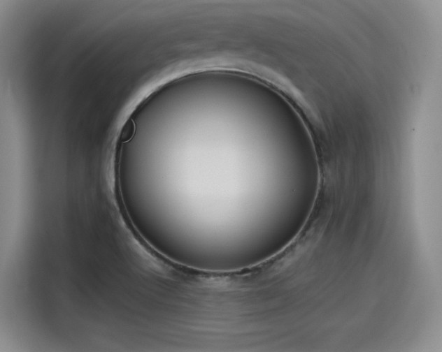 X0000114191512200910161153
