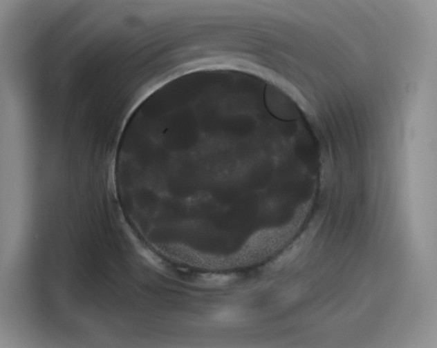 X0000114191513200910161153