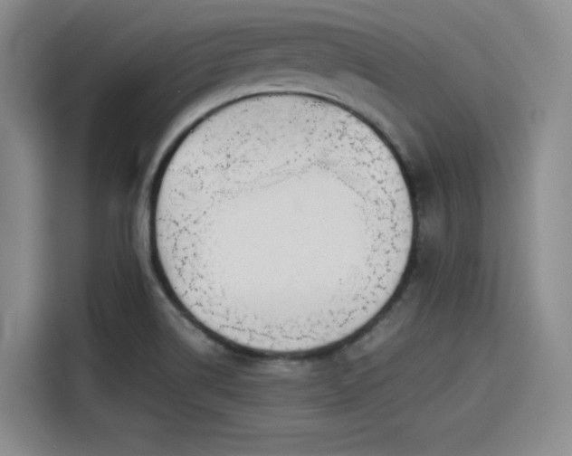 X0000114191514200910161153