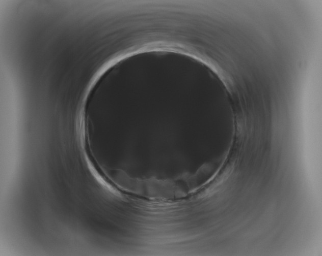 X0000114191515200910161153