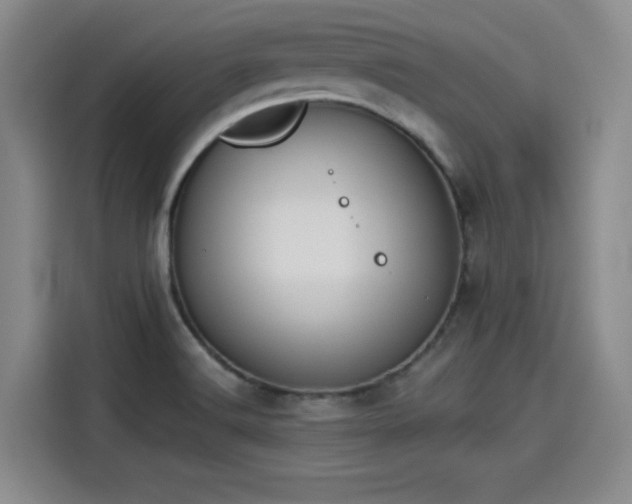 X0000114191516200910161154