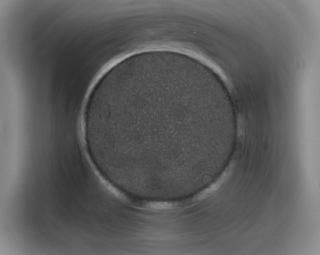 X0000114191517200910161154