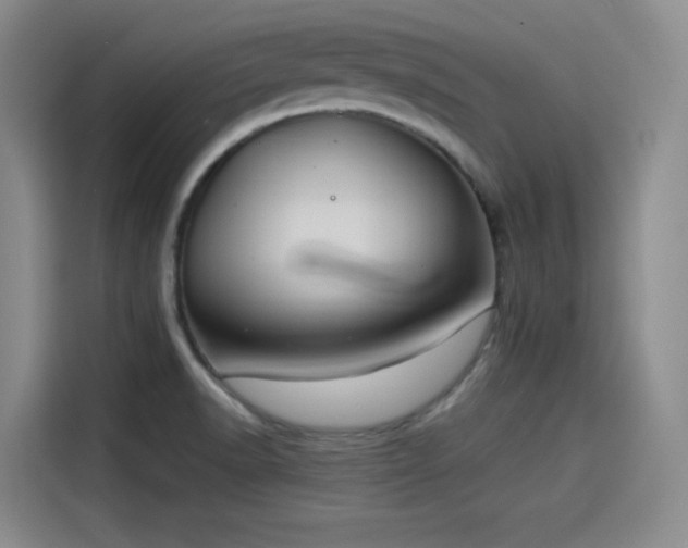 X0000114191518200910161154