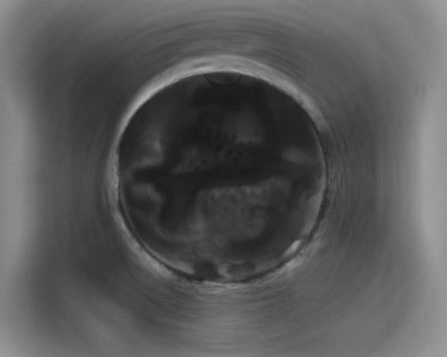 X0000114191522200910161154