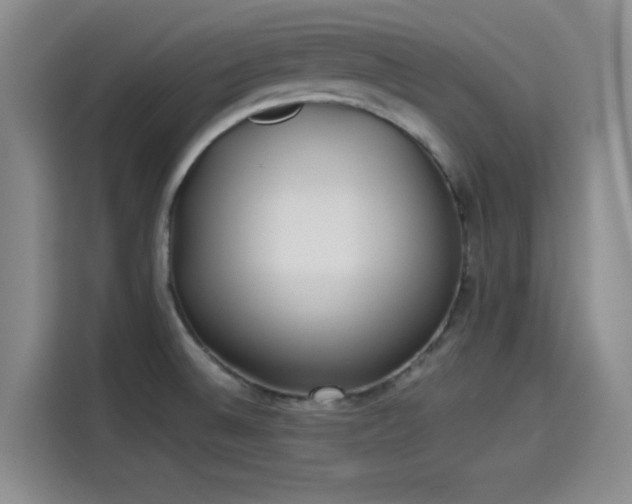 X0000114191524200910161154