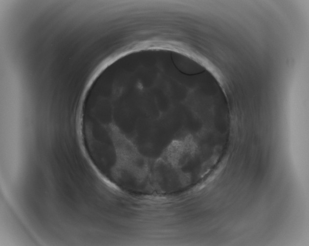 X0000114191525200910161154