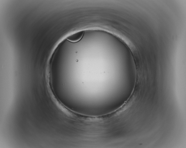 X0000114191526200910161154