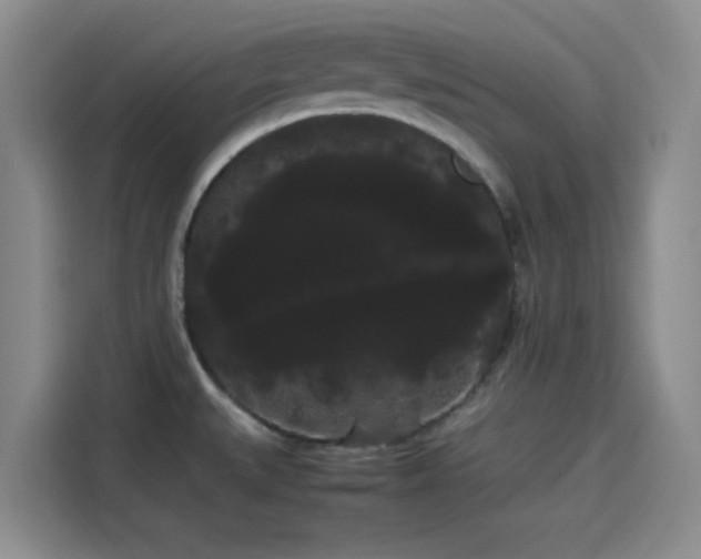 X0000114191527200910161154