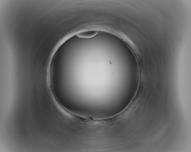 X0000114191528200910161154