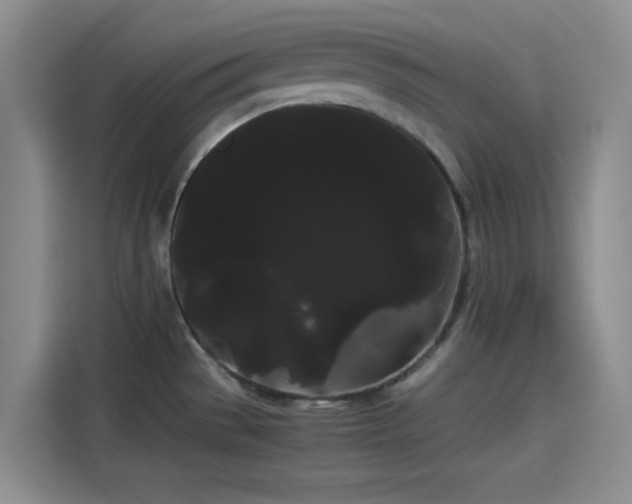 X0000114191529200910161154