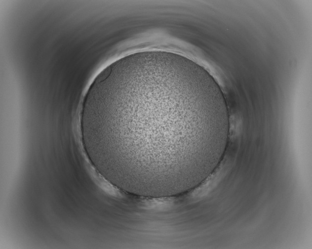 X0000114191530200910161154