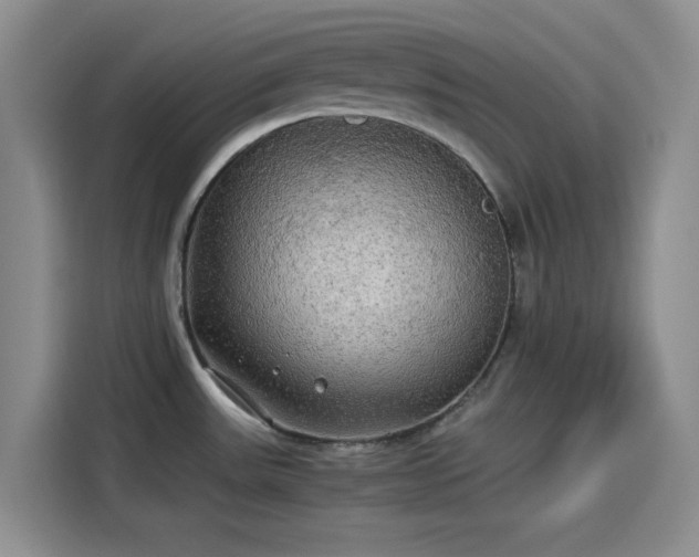 X0000114191531200910161154