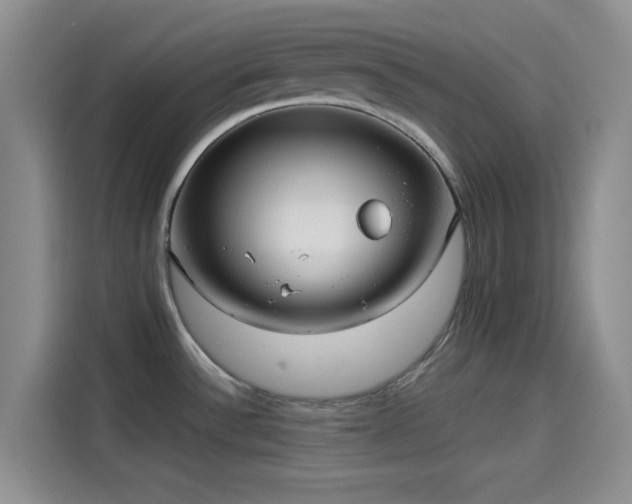 X0000114191532200910161154