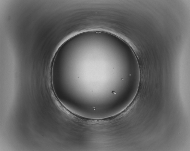 X0000114191534200910161154