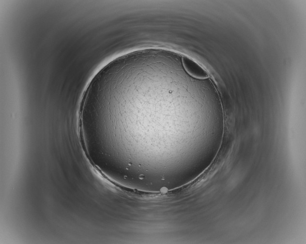 X0000114191535200910161154