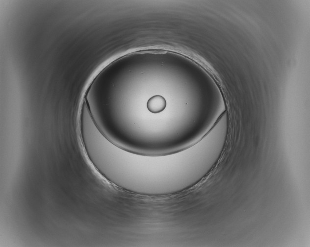 X0000114191536200910161154