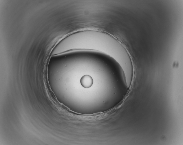 X0000114190001200910231331