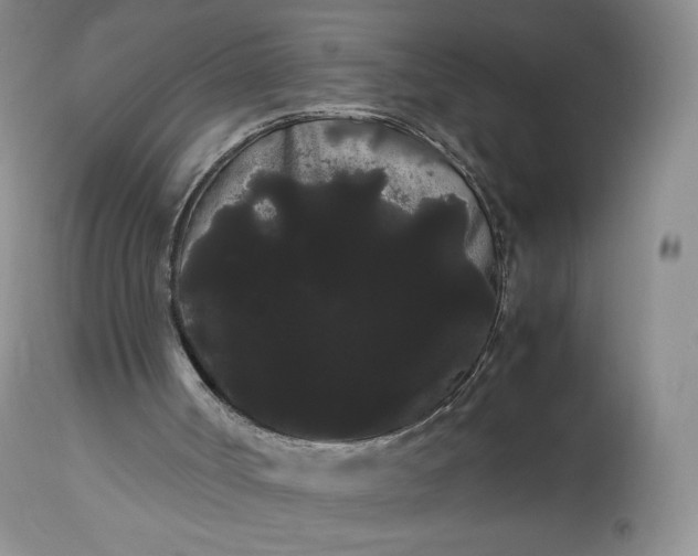X0000114190002200910231331
