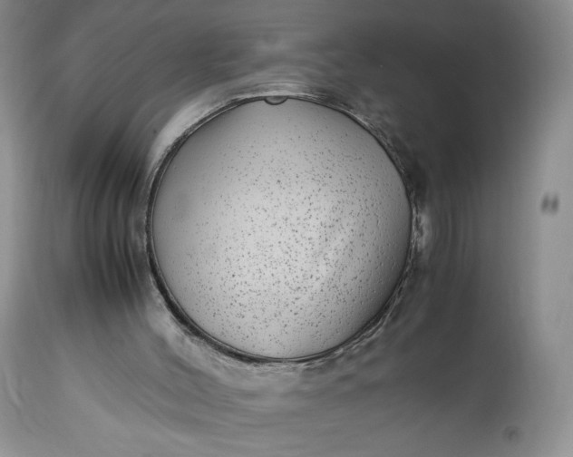 X0000114190004200910231331