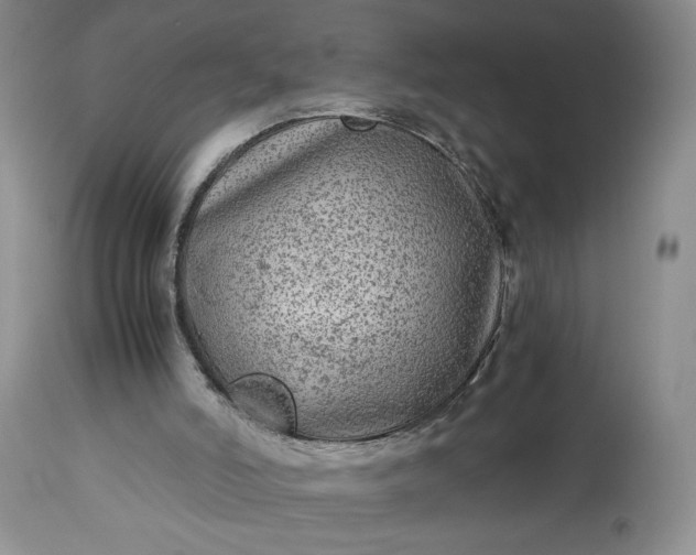 X0000114190006200910231331