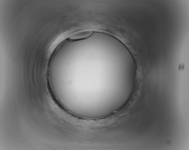 X0000114190007200910231331