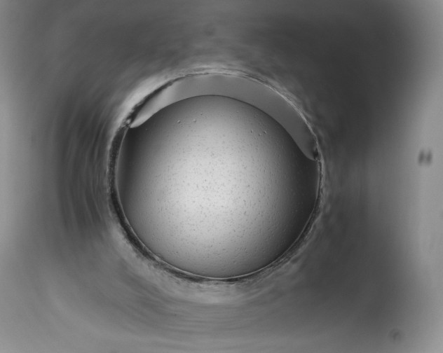 X0000114190008200910231331