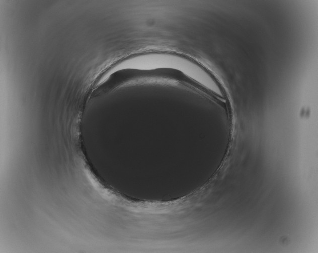 X0000114190009200910231331