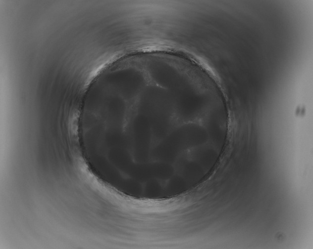 X0000114190010200910231331