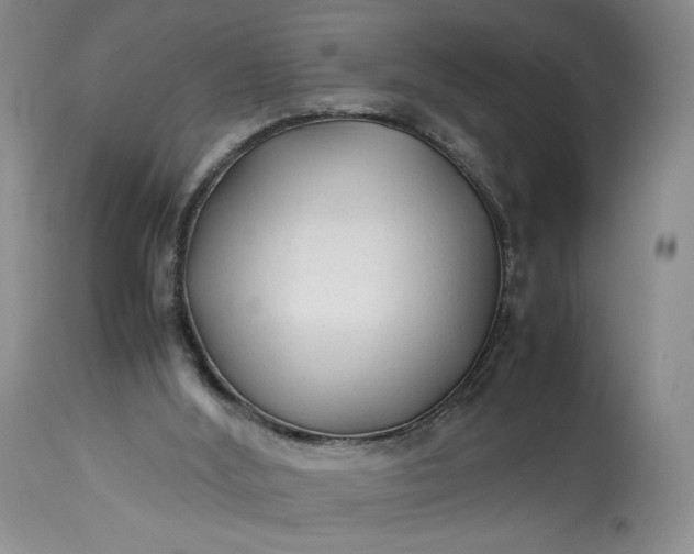 X0000114190012200910231331