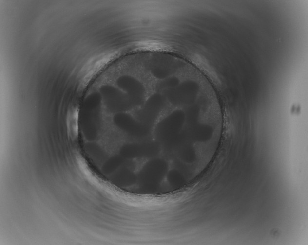 X0000114190014200910231331