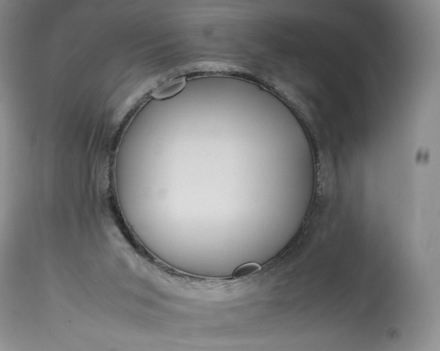 X0000114190015200910231331