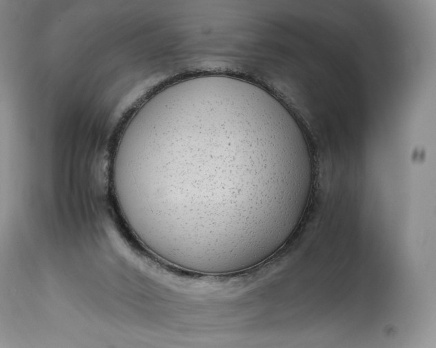 X0000114190016200910231331