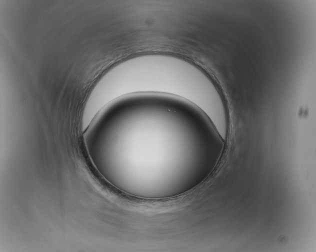 X0000114190017200910231331