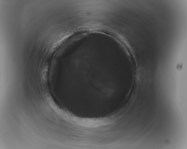 X0000114190018200910231331