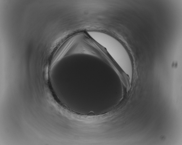 X0000114190019200910231331