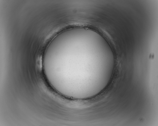 X0000114190020200910231331