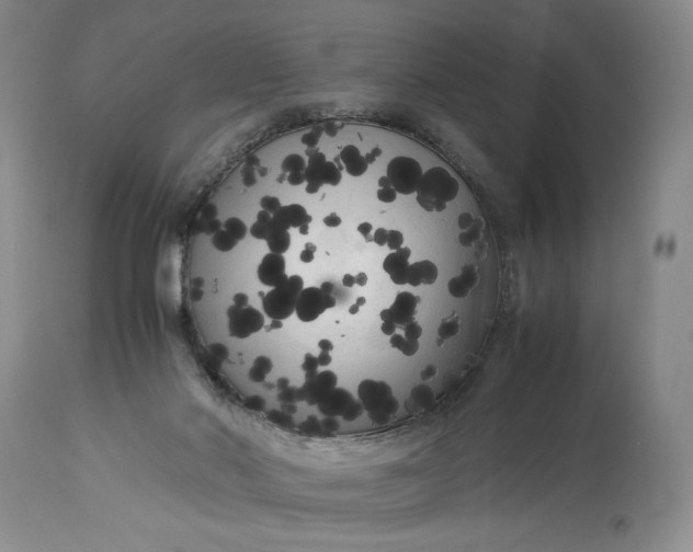 X0000114190022200910231331