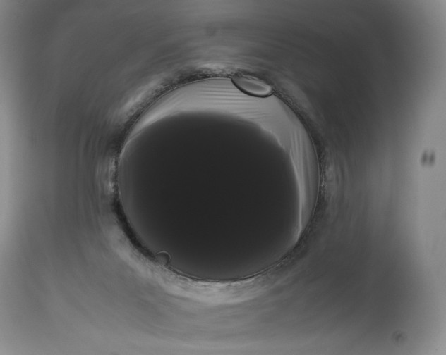 X0000114190023200910231331