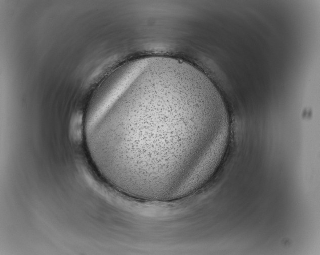 X0000114190024200910231331