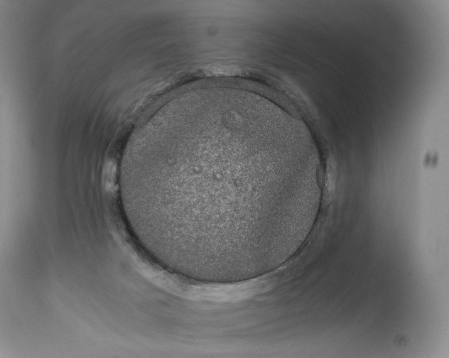 X0000114190025200910231331