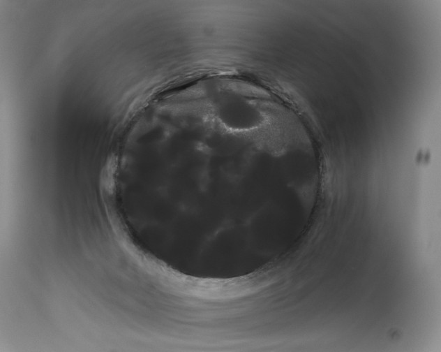 X0000114190026200910231331
