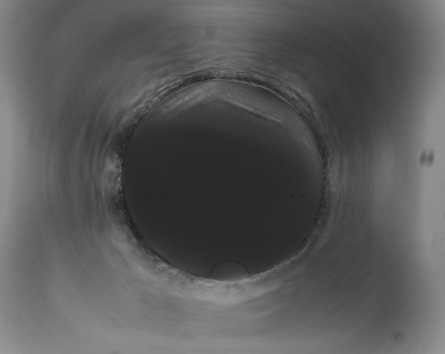 X0000114190029200910231331