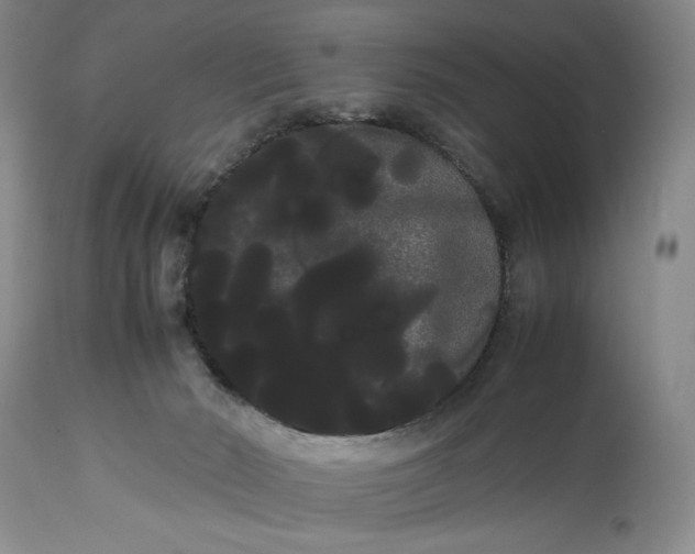 X0000114190030200910231331