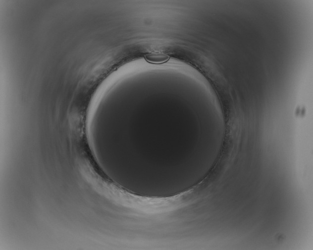 X0000114190031200910231331